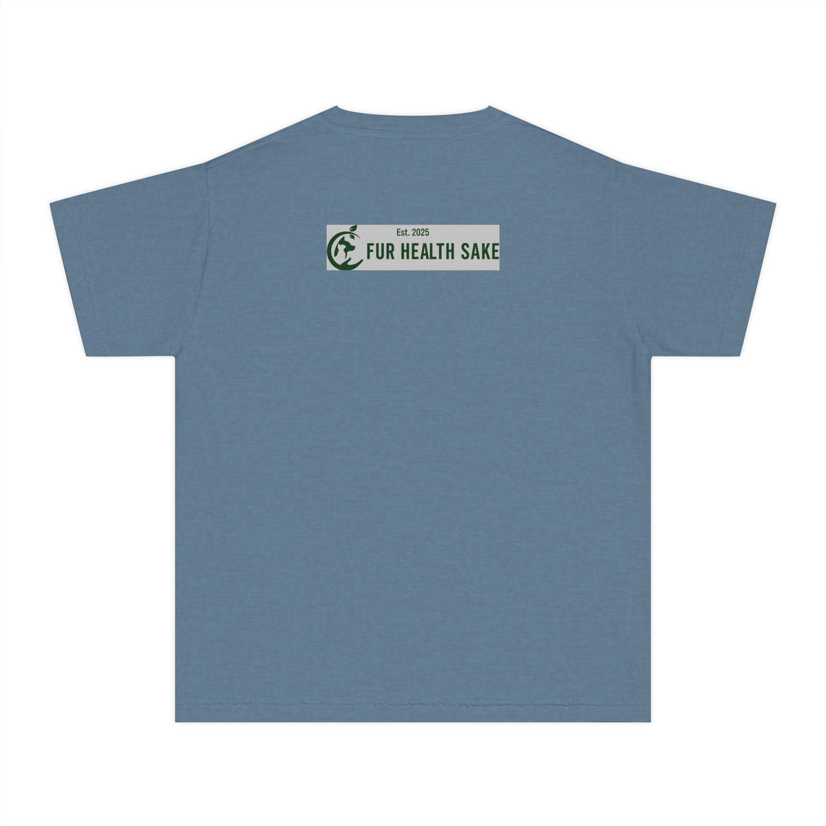 Youth Tee — Corgi Stretch Front Graphic & “Fur Health Sake” Back Logo