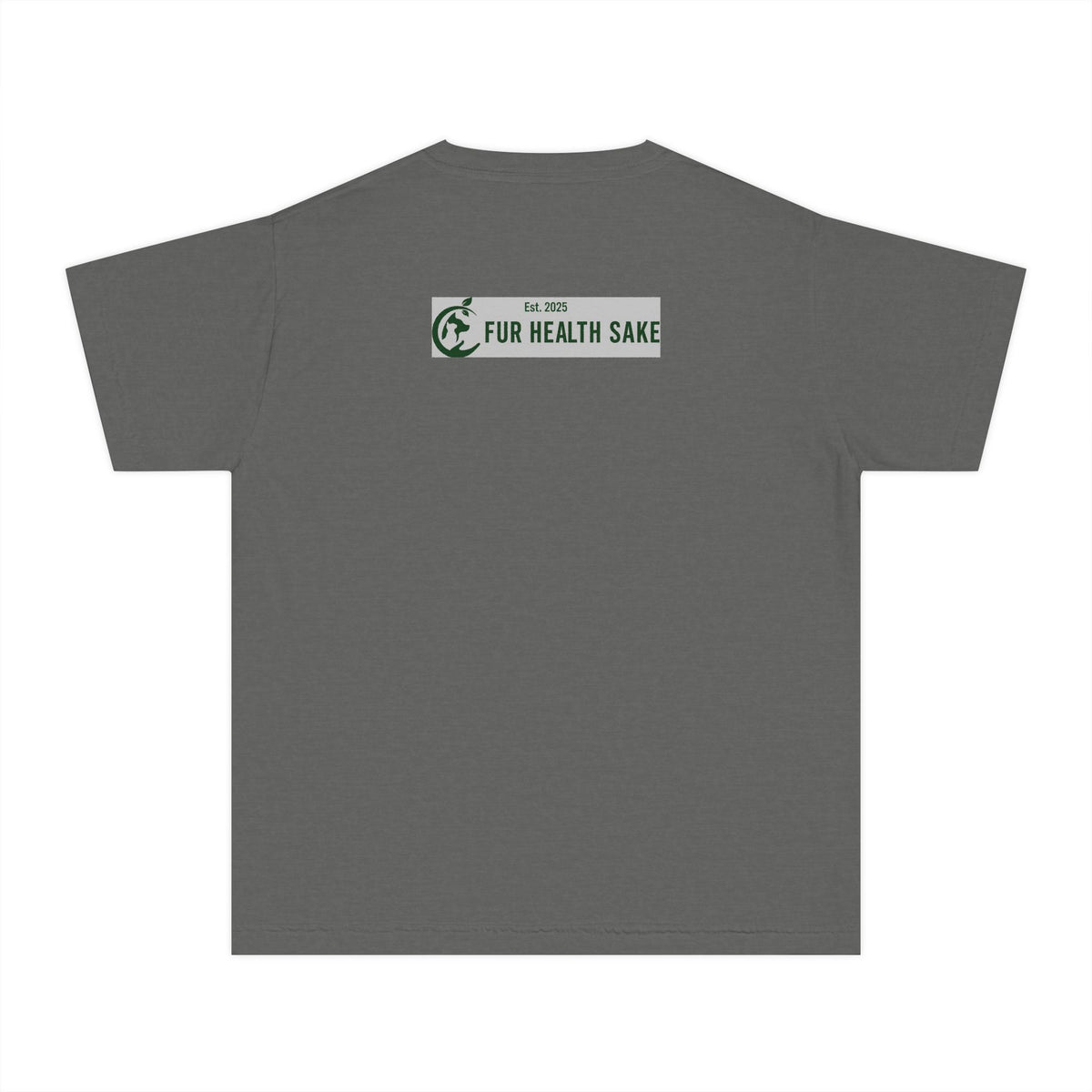Youth Tee — Corgi Stretch Front Graphic & “Fur Health Sake” Back Logo