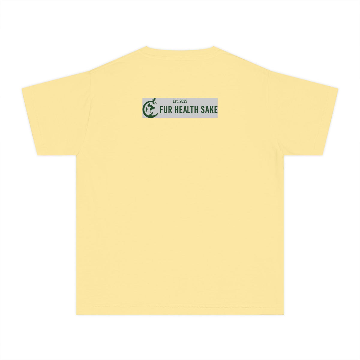 Youth Tee — Corgi Stretch Front Graphic & “Fur Health Sake” Back Logo